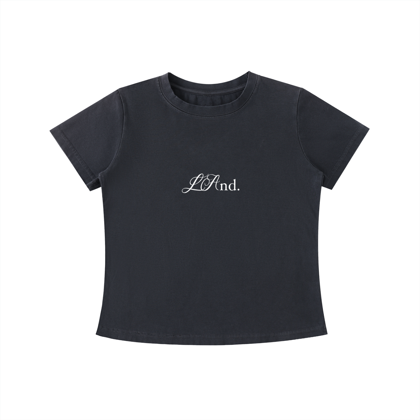 LAnd Script Vintage Wash Slim Fit T-shirt